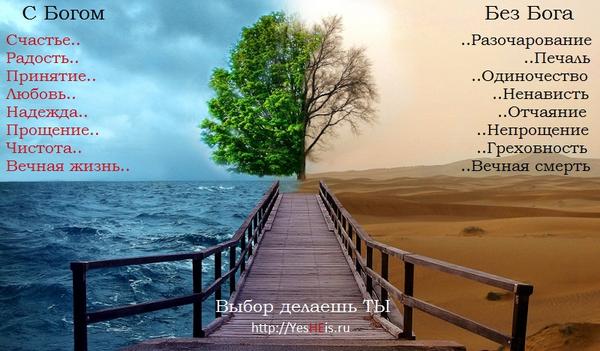 Я выбираю Жизнь