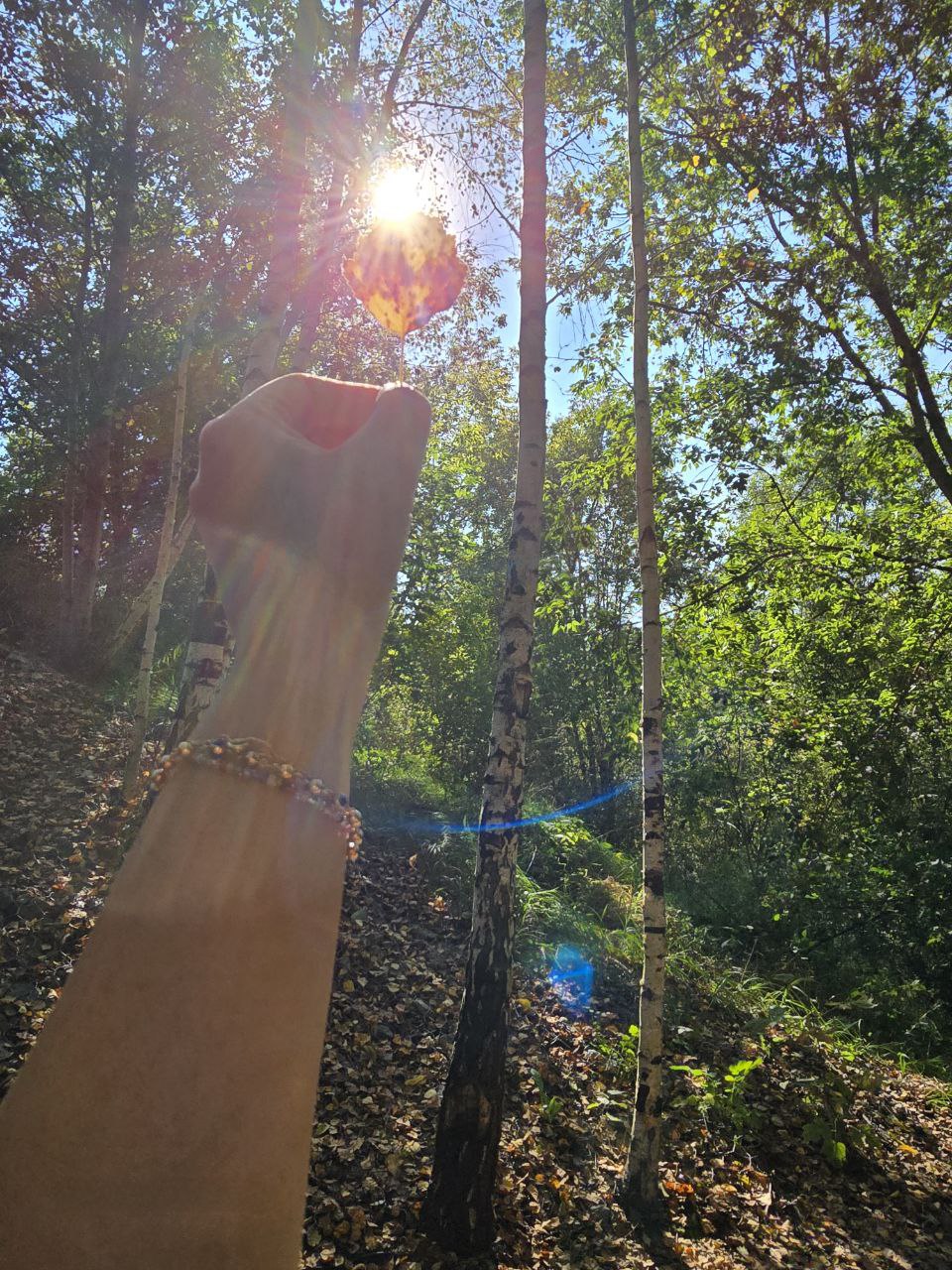 Поездка в Узбекистан...