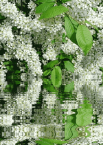 Закончилась весна