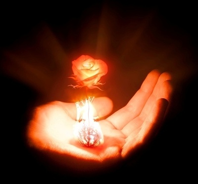 Крик материнского сердца