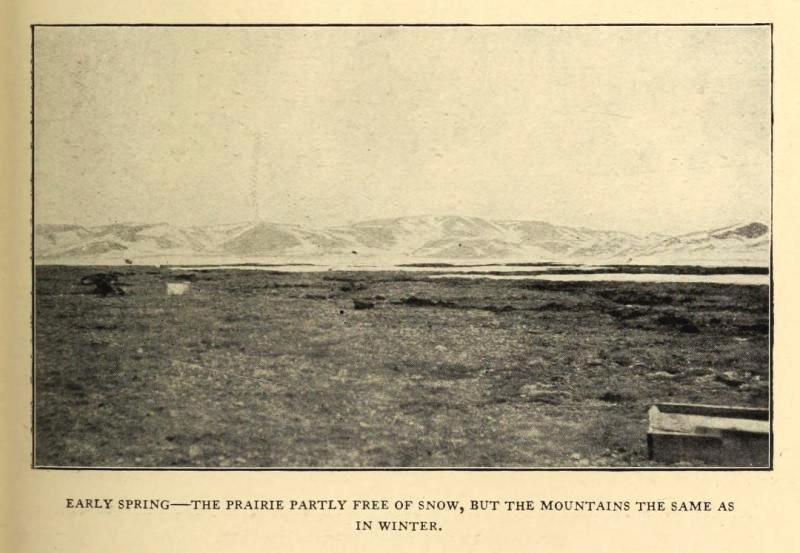 Ч. 30 Остались только Ада и кошка