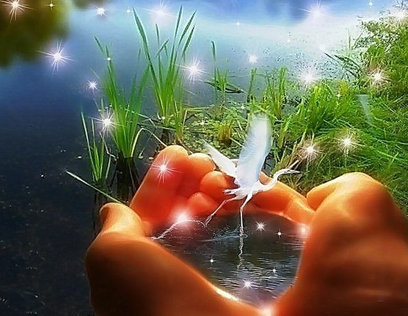 Что посеешь