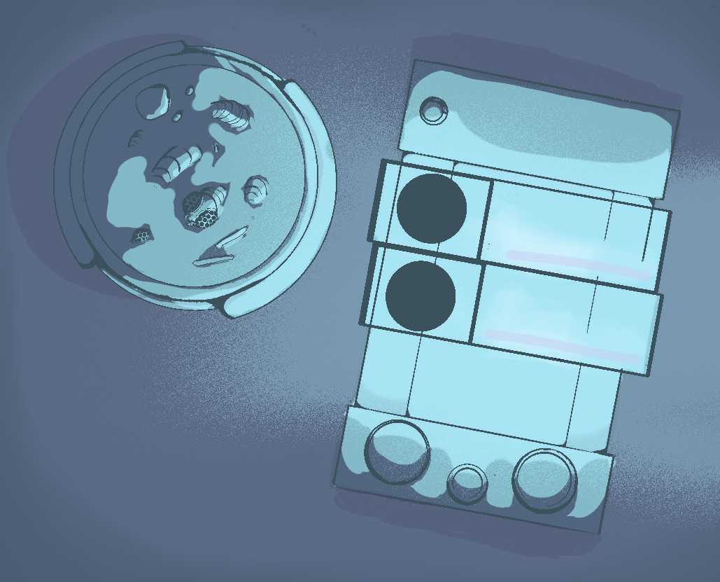 Проводники? Откуда