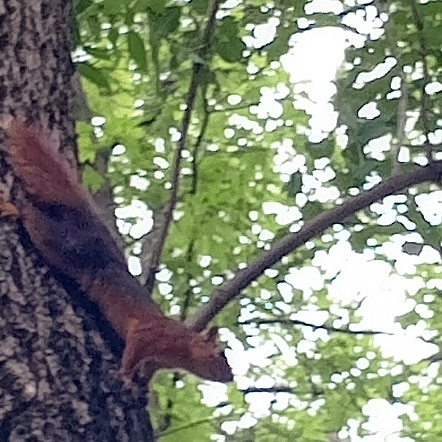 Я еду к морю эссе