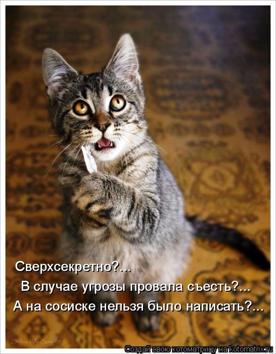 Удивительный социализм каждый день