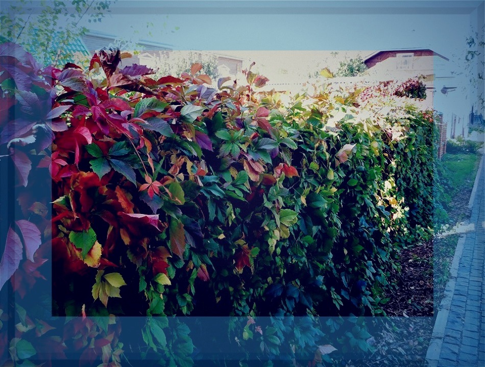 Эпилог. Поворот Калейдоскопа