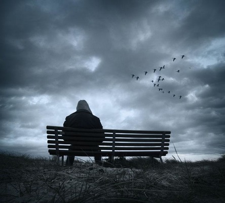 Друзей по осени считают