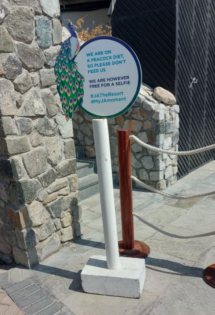 Дубай бай бай