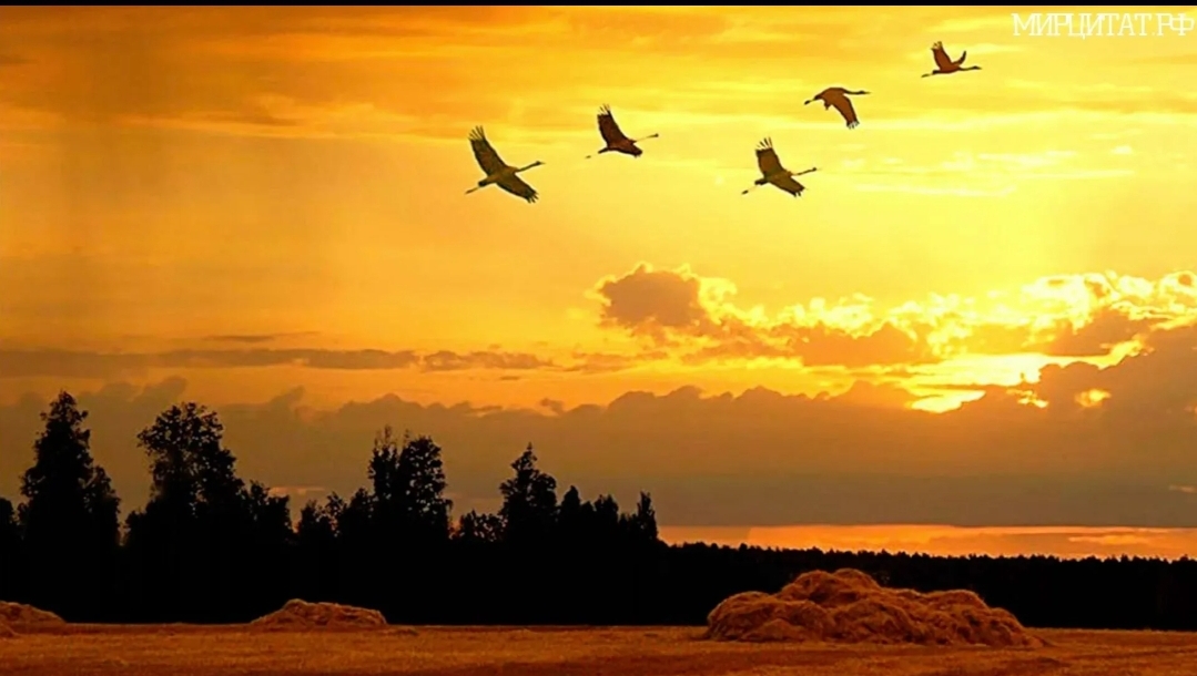 Весна прошла