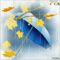 Не прерывай мелодию дождя