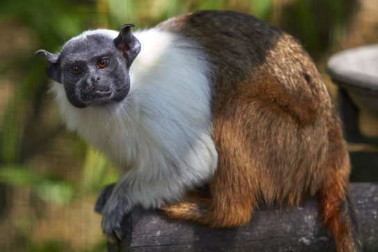 Беседы при луне часть 127