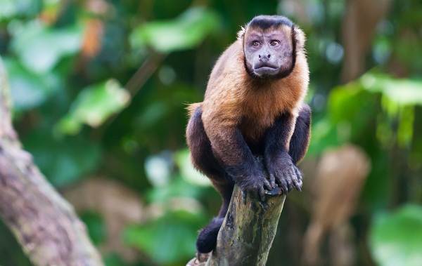 Беседы при луне часть 128