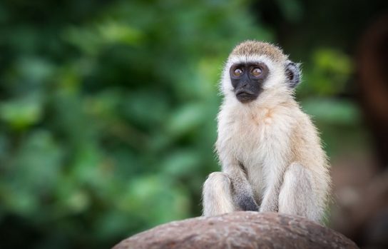 Беседы при луне часть 129