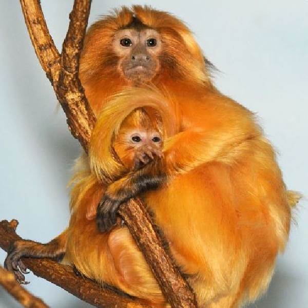 Беседы при луне часть 131