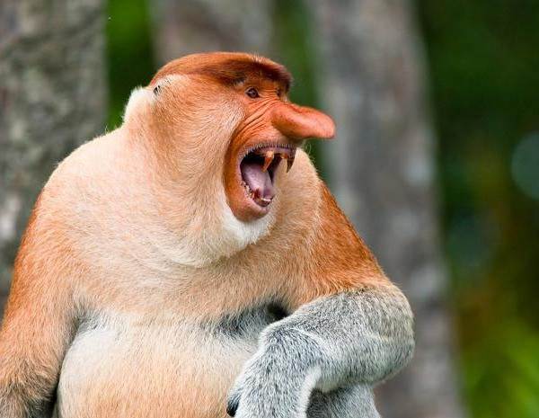 Беседы при луне часть 132