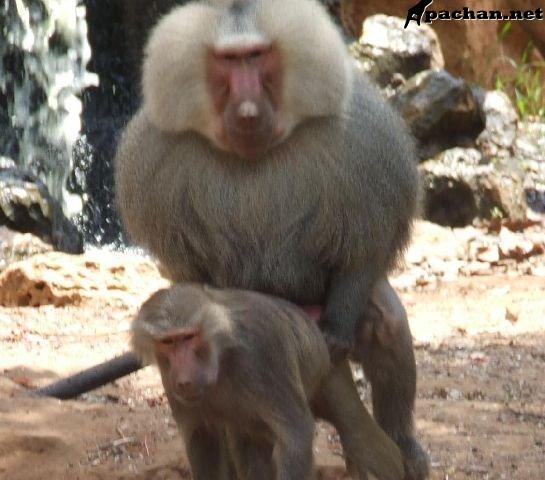 Беседы при луне часть 133