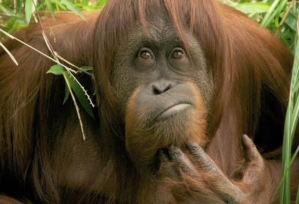 Беседы при луне часть 134