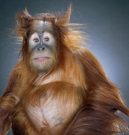 Беседы при луне часть 136