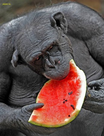 Беседы при луне часть 137