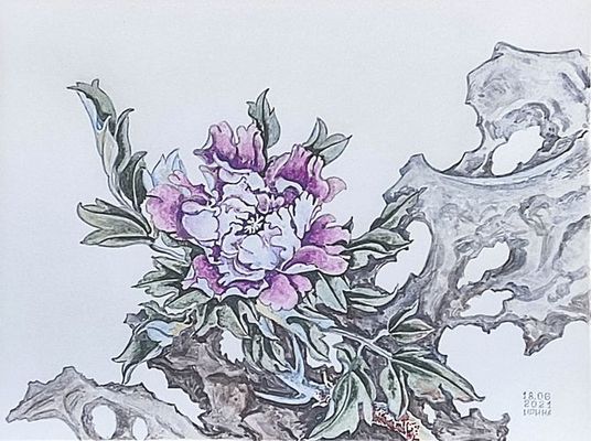 Цветок на фоне камня