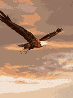 Два кречета