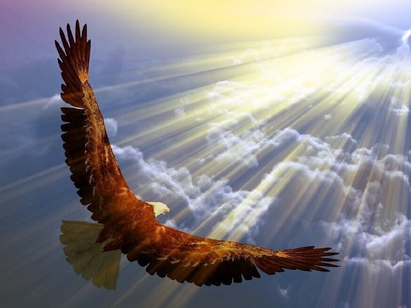 Сокол- славянское знамение