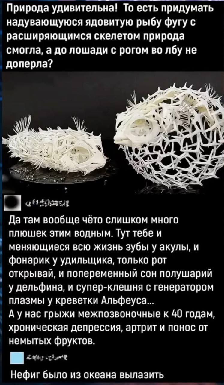 Сиситерапия. 7 октября 2025