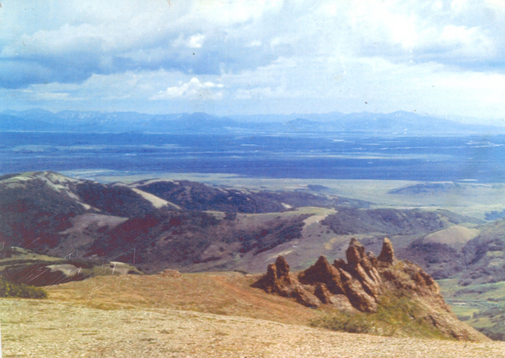 Презентация