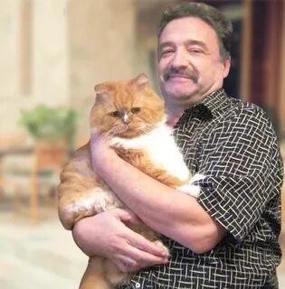 Правдивые истории кошечки Бонифации