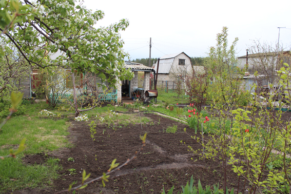 Как не поссорились Иван Иванович и Борис Иванович