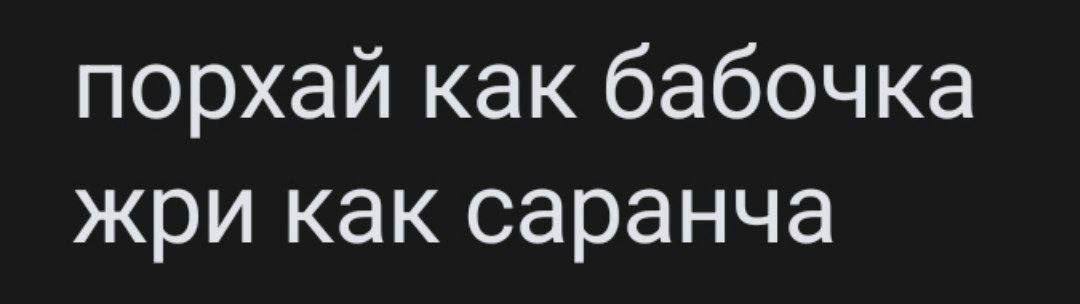 Дорогой Дневник. 8 октября 2025