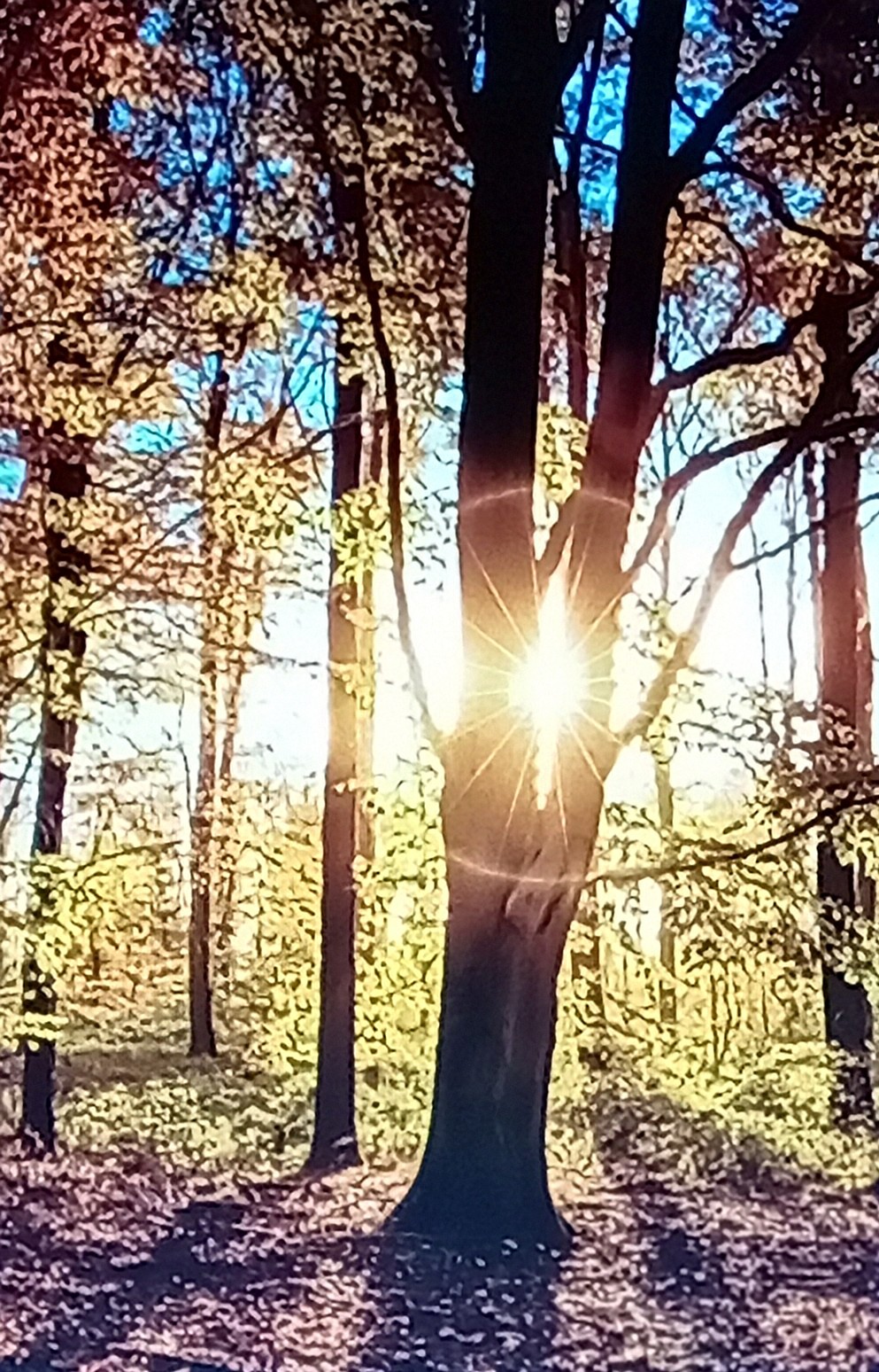 В смешении красок