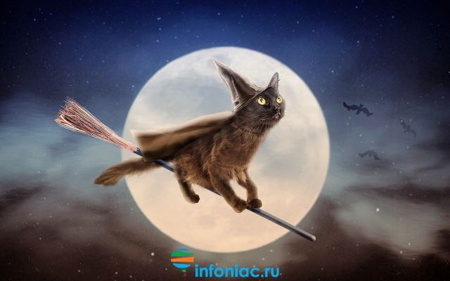 Торжокские ведьмы