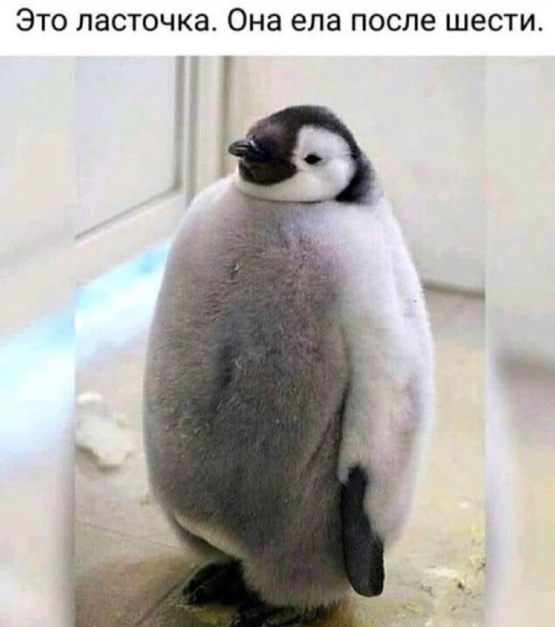 ДОрогой дневник. 9 октября 2025