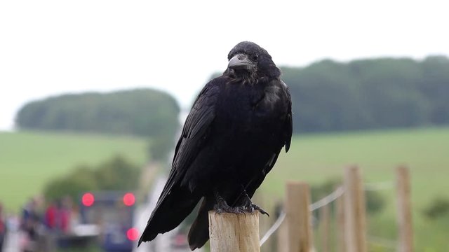 Кто прав... Acta est fabula