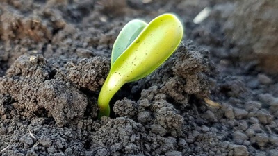 Баттл с Михаилом Бруком. Через пожар к плодородию