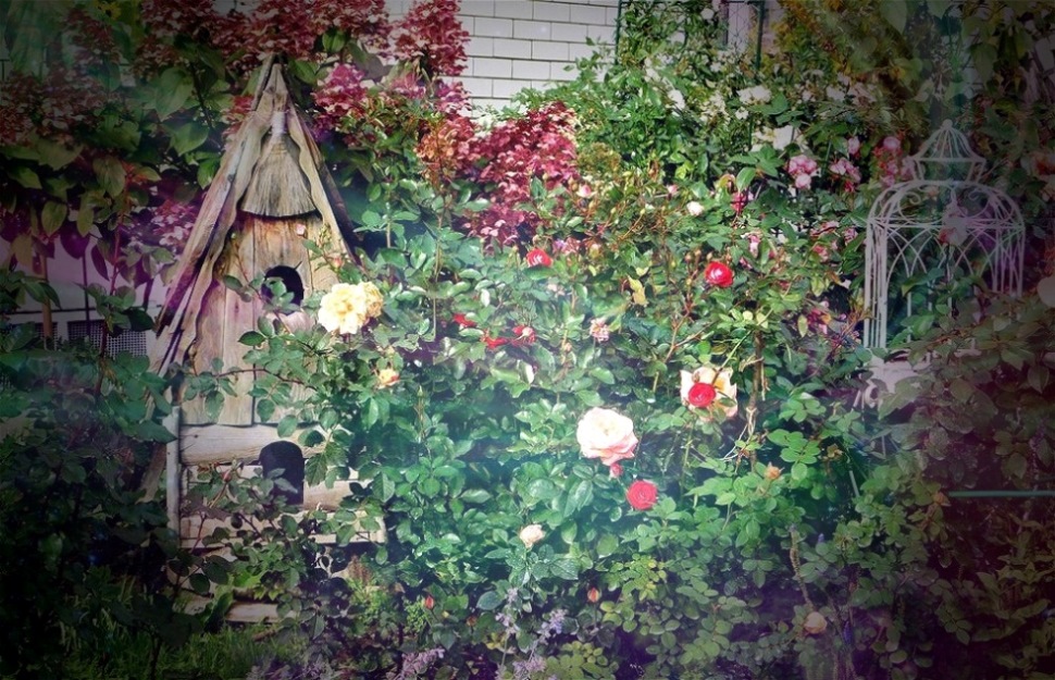 2 Шестёрка с Другой Стороны. С Кристеном