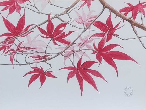 Красные клены