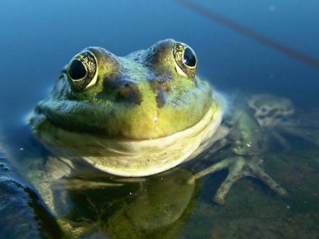Глаша в Заозерье