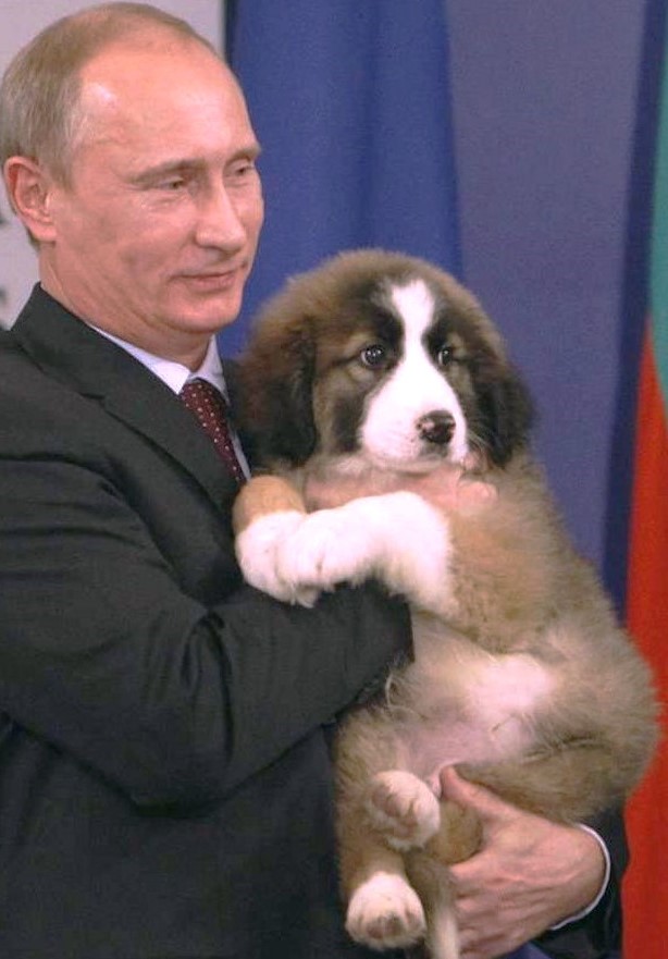 Россиянe Путин Владимир и любимые животные RU