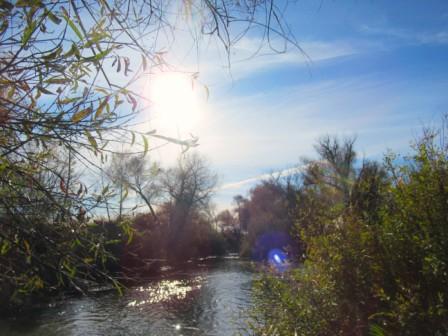 Лето в октябре