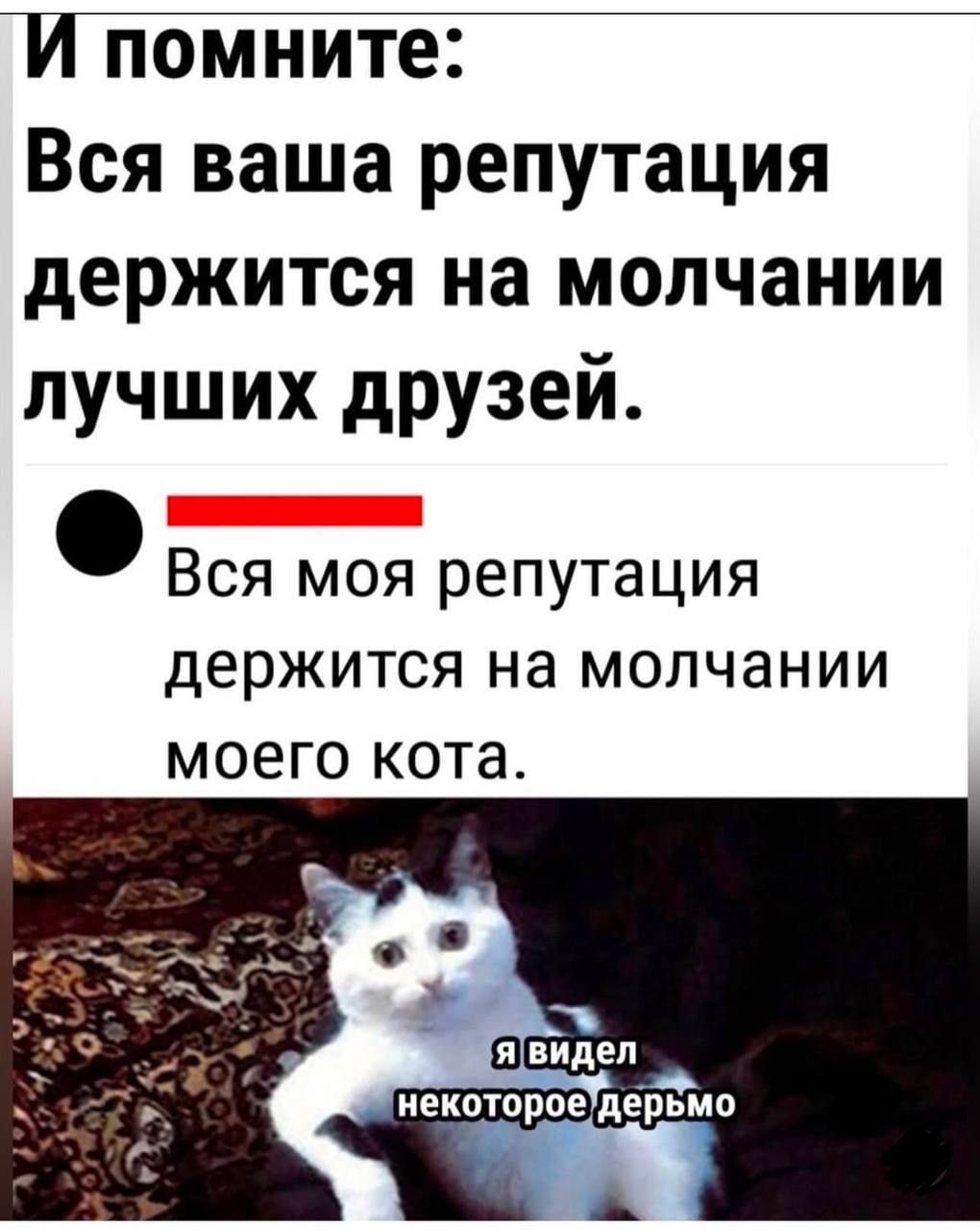 Дорогой дневник. 12 октября 2025