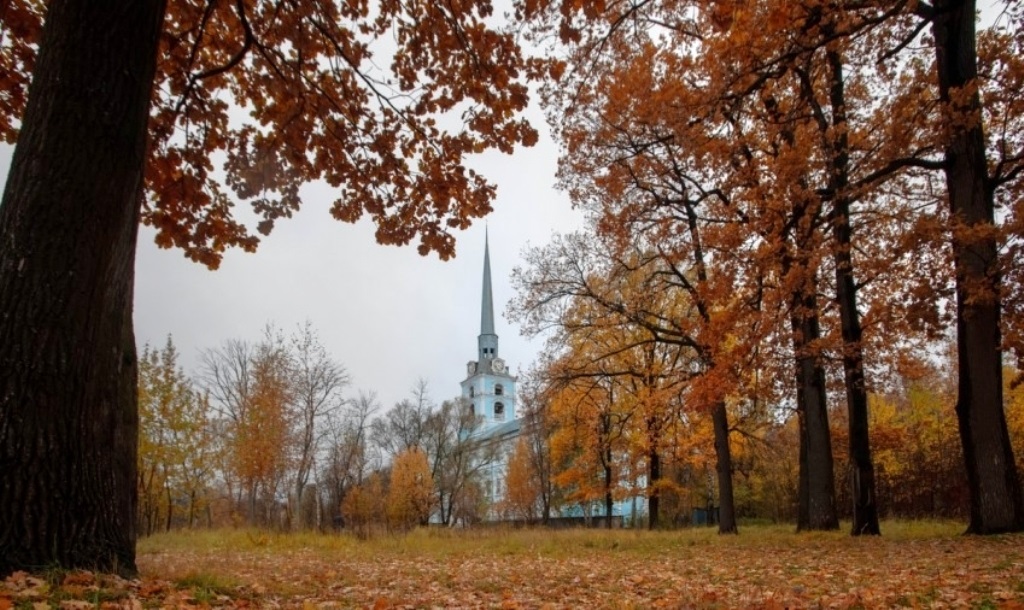 Переходит уже осень в позднюю чахлую фазу...