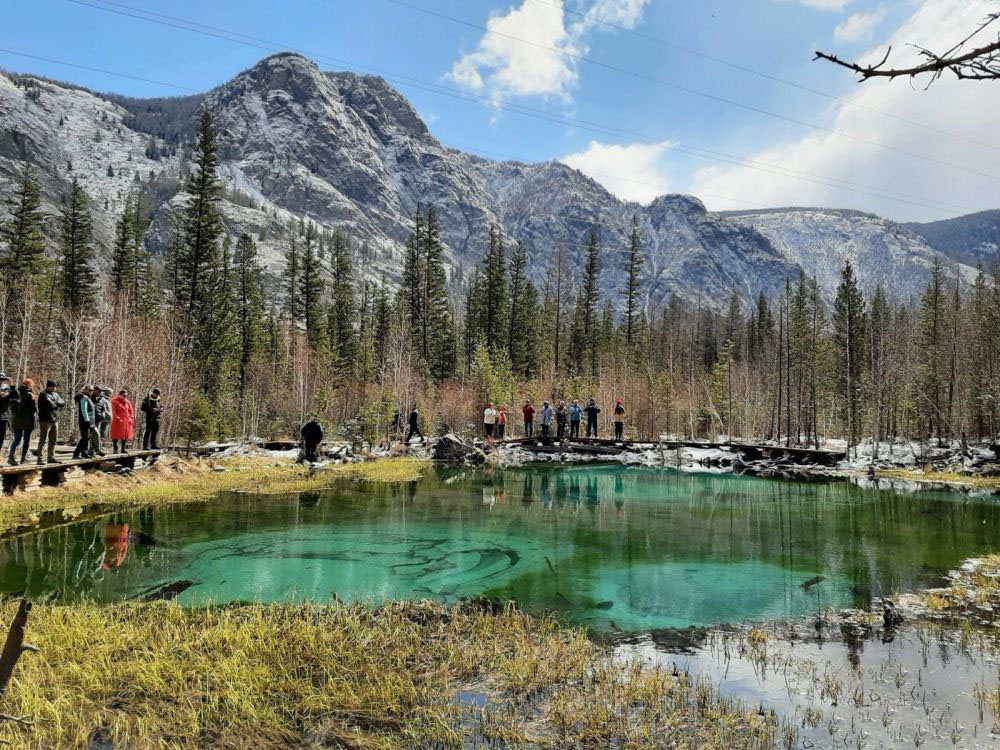 О природе, путешествиях, тиграх...