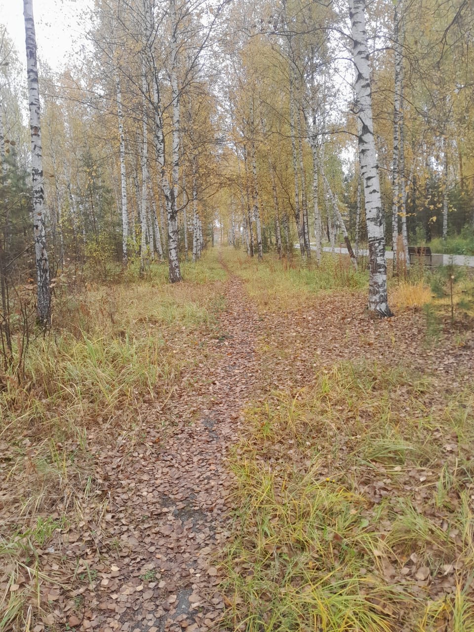 Тропа Есенина