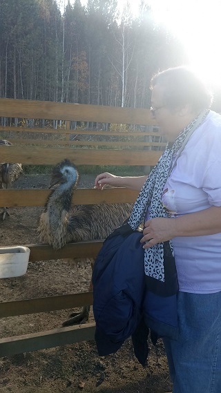 Интервью со страусами