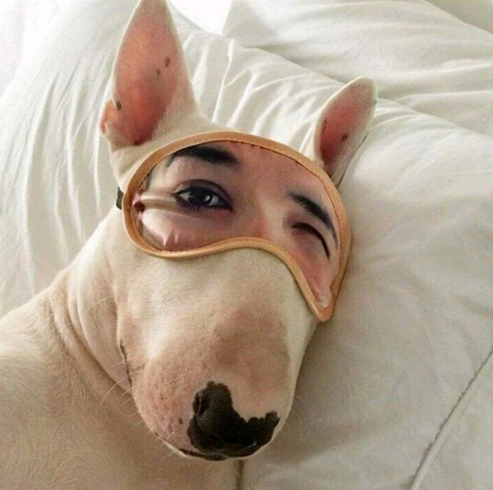 Конкурс СОН