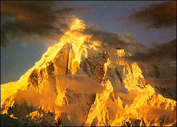 Построение древа жизни