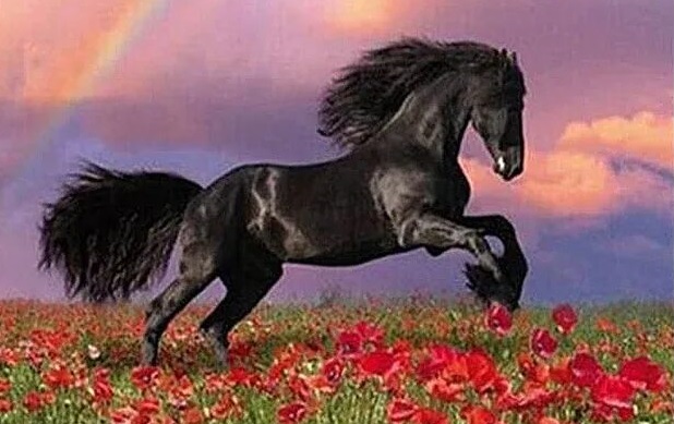 В безбрежной степи