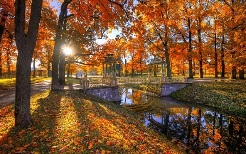 В осеннем парке